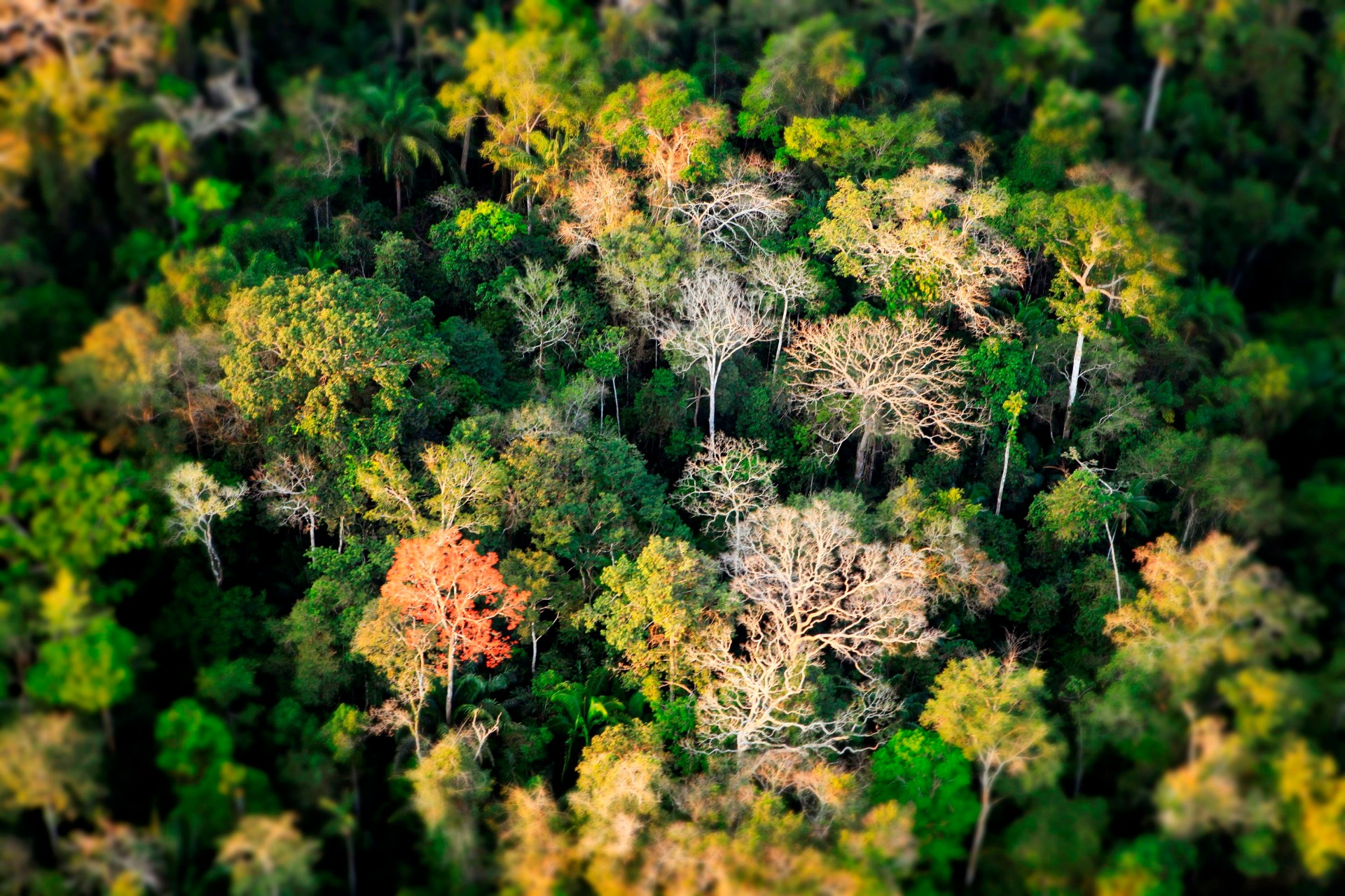 Destination Amazon Traditional way of life of Amazonian communities