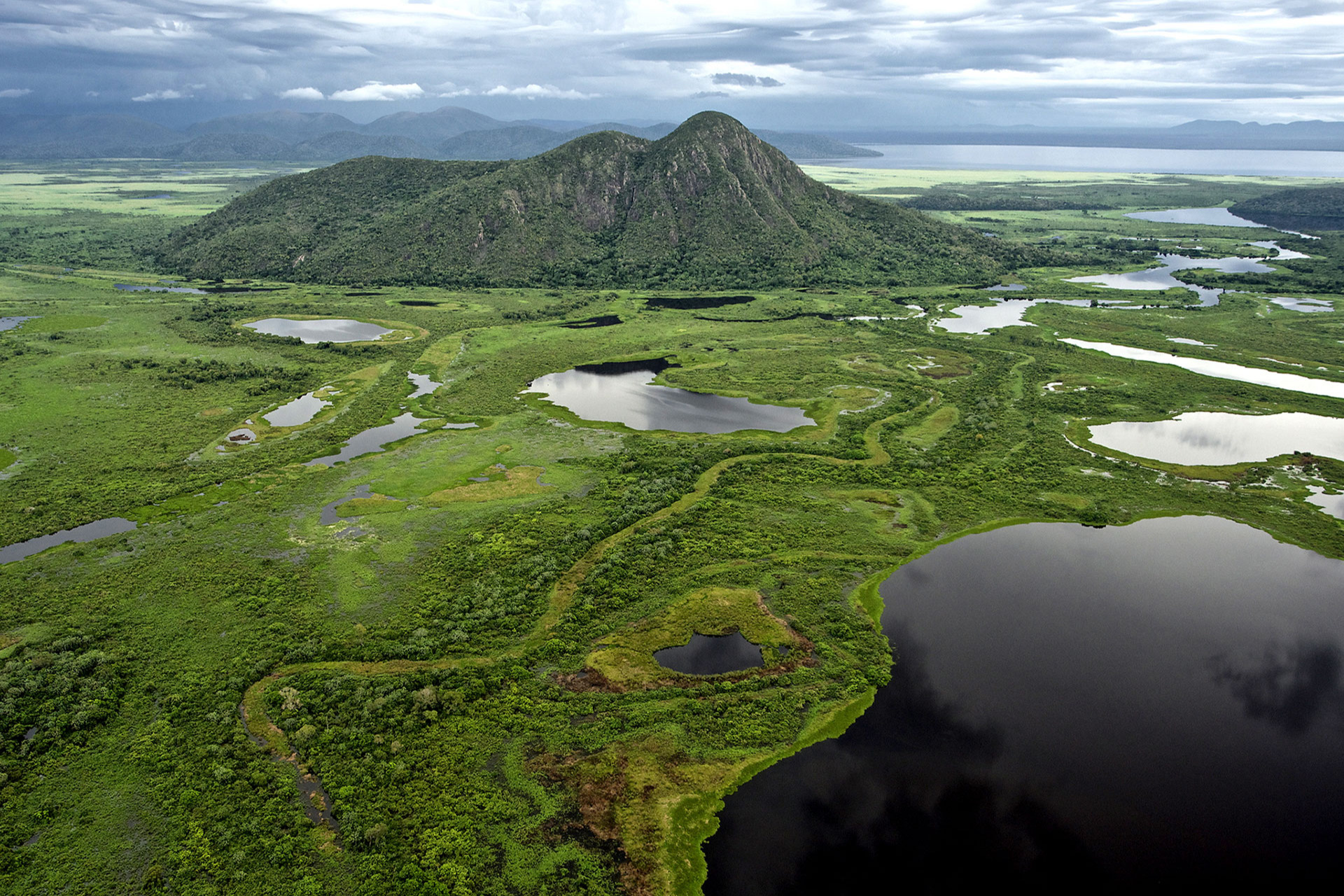 Pantanal A wonderfull ecosystem