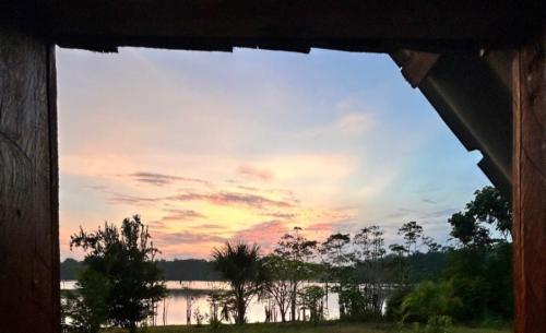 Sumérgete en el corazón de la selva amazónica y vive como los nativos
