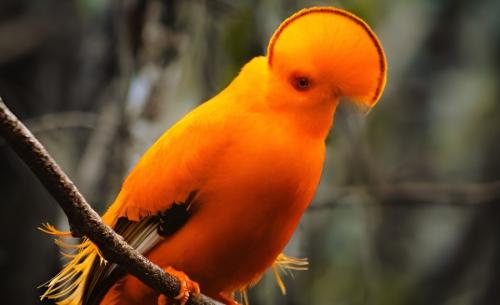 4 days of adventure in the rainforest