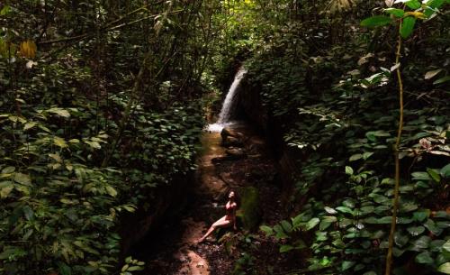 Cachoeiras da Amazonia