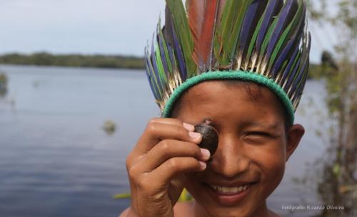 Conexão Baré - Soltura de Quelônios
