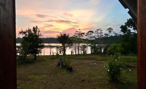 Immerse yourself in the heart of the Amazon rainforest and experience life like the natives