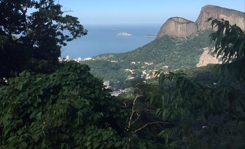 Jeep Tour Rio