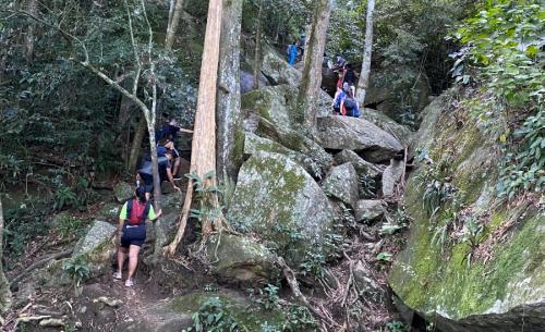 Pedra da Gávea Trail