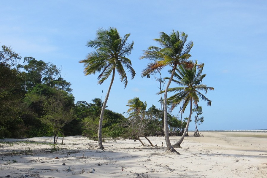 Ilha de Marajó