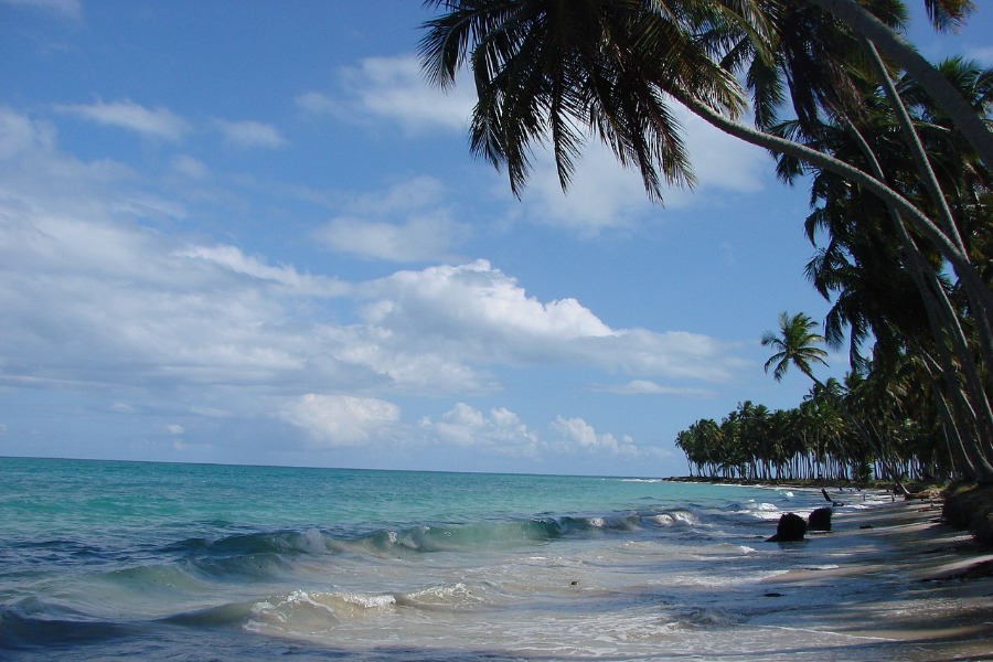 Plage de Carneiros - Pernambuco