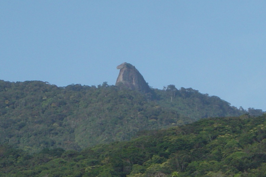 O Pico do Papagaio : uma trilha imperdível