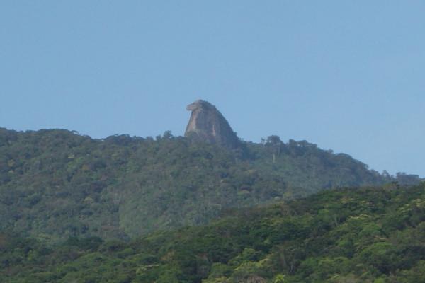 The Pico do Papagaio : an unmissable hike