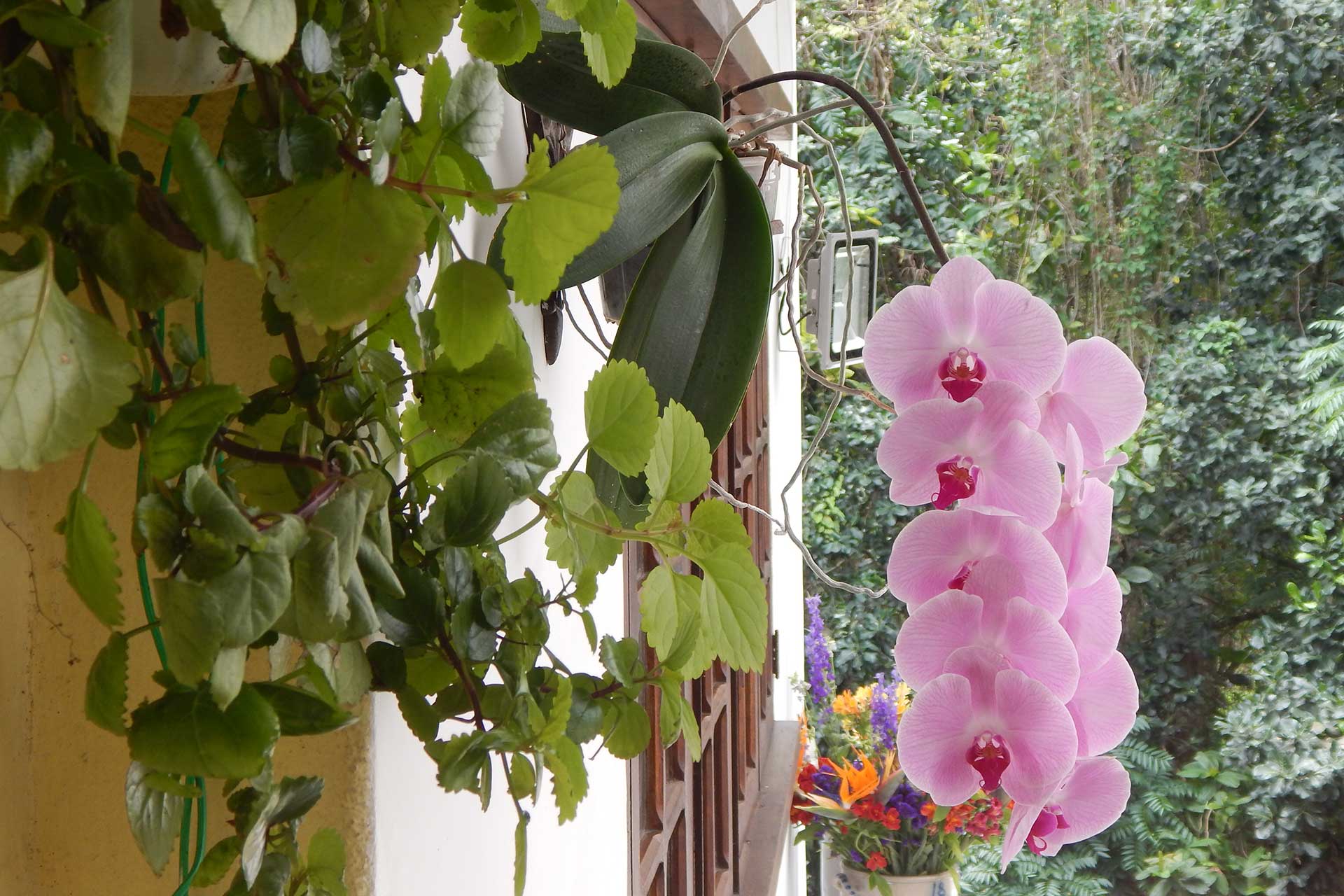 Casa São Conrado Guest House  Disfruta tu viaje en Río de Janeiro