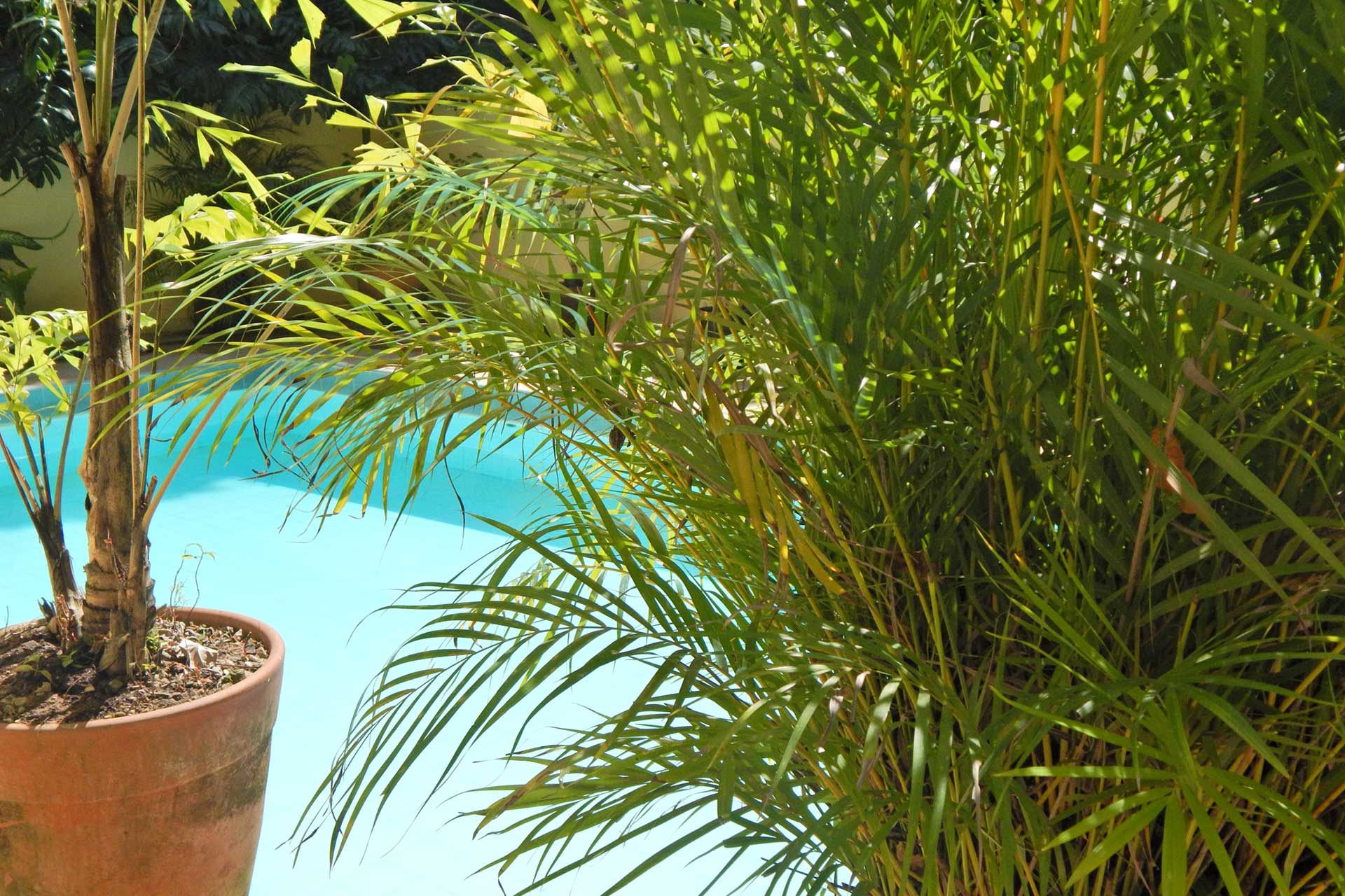 Casa São Conrado Guest House  Disfruta tu viaje en Río de Janeiro