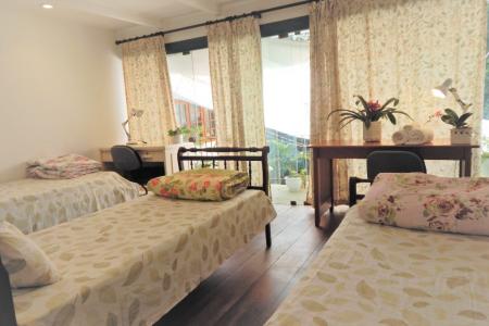 Bed in 4-Bed Mixed Dormitory